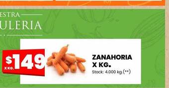 Changomas Zanahoria x kg. oferta