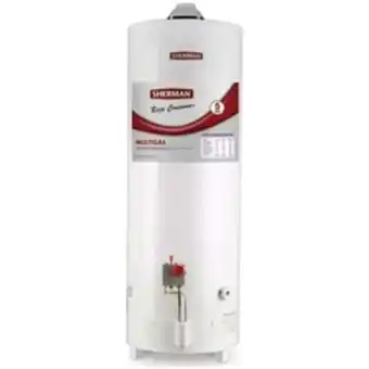 Maitess Termotanque sherman 120l conex.superior bigas tpgp120 oferta