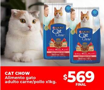 Supermayorista Vital Cat chow alimento gato adulto carne pollo oferta
