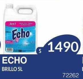 Masivos Echo brillo oferta