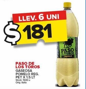 Carrefour Maxi Gaseosas paso de los toros oferta
