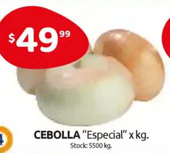 Cordiez Cebolla Especial oferta