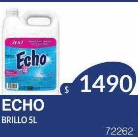 Masivos Echo brillo oferta