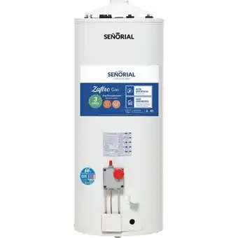 Easy Termotanque señorial 50 lts gas natural oferta