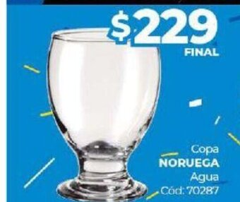 Diarco Copa Noruega Agua oferta