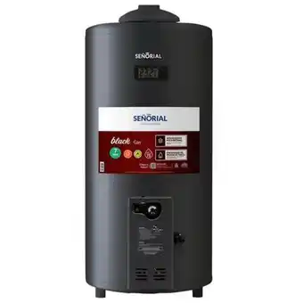 Easy Termotanque black 2.0 multigas 75 lts oferta
