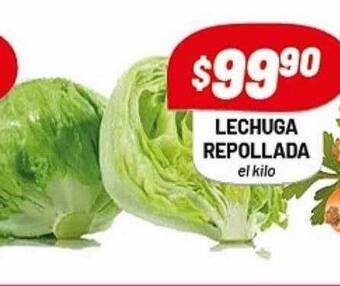 Almacor Lechuga repollada el kilo oferta
