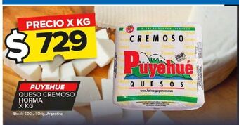 Carrefour Maxi Queso cremoso puyehué x kg oferta