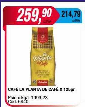 Maxiconsumo Café la planta de café x 125gr oferta