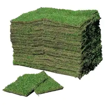 Easy Pan de grama bahiana tesone tono verde oscuro 60x4x40cm oferta
