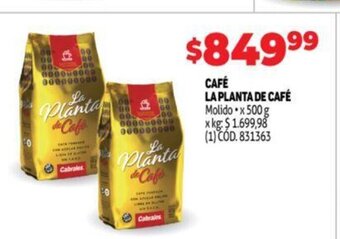 Makro Café La Planta De Café oferta