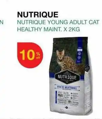 Nutrique nutrique yough adult cat healthy maint.