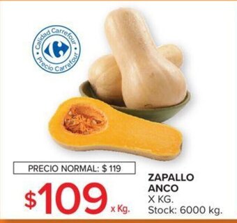 Carrefour Zapallo Anco oferta