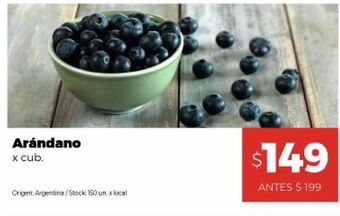 Disco Arándanos cubeta oferta
