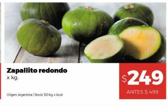 Disco Zapallito redondo x kg oferta