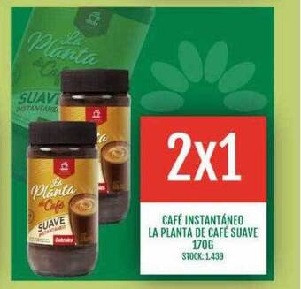 Supermercados Todo Café instantáneo la planta de café suave oferta