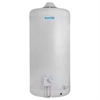 Termotanque a gas escorial 80lt