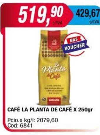 Maxiconsumo Café La Planta De Café x 250gr oferta