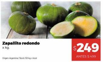 Disco Zapallito redondo x kg oferta