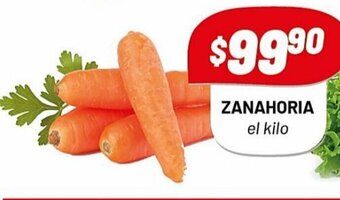 Almacor Zanahoria oferta