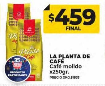 Supermayorista Vital La planta de café café molido oferta