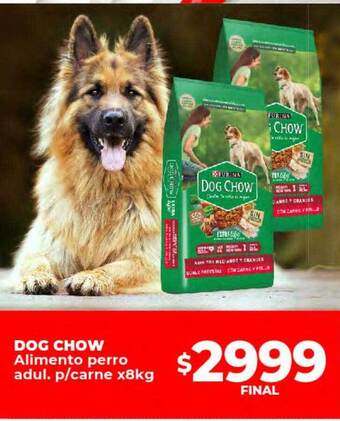 Supermayorista Vital Dog chow alimento perro adul p carne oferta