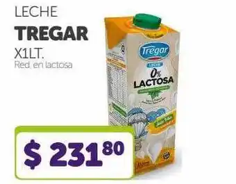 La Gallega Supermercados Leche tregar x1lt oferta