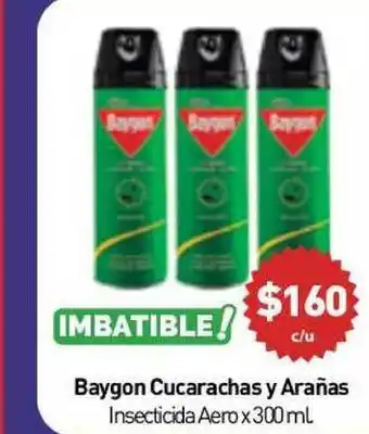 Anika Shop Baygon Cucarachas Y Arañas x 300ml oferta