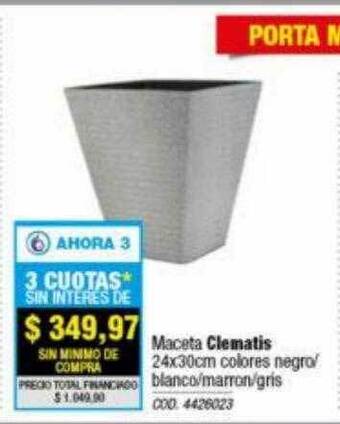 Maceta clematis