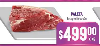 Makro Paleta Excepto Neuquén oferta