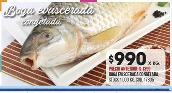 Coto Boga Eviscerada Congelada oferta