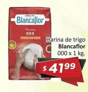Gomez Pardo Blancaflor Harina de trigo 000 x1kg oferta