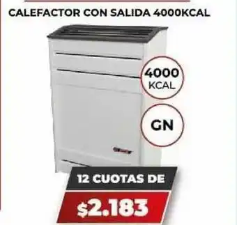 Novogar Calefactor Con Salida 4000kcal oferta