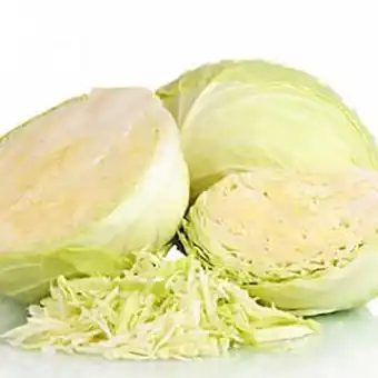 Repollo blanco xkg