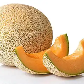 El Abastecedor Melon galia xu oferta