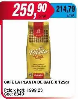 Maxiconsumo Café la planta de café x 125 gr oferta
