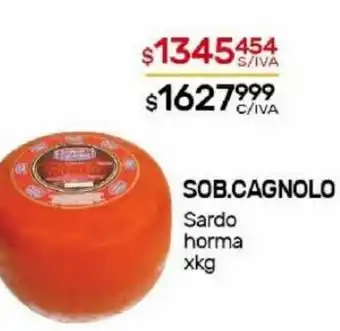 Nini Mayorista Sob. Cagnolo Sardo Horma x kg oferta