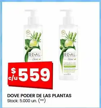 Changomas Dove poder de las plantas oferta