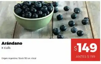 Disco Arándano cubeta xun oferta