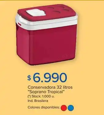 Carrefour Conservadora 32 litros oferta