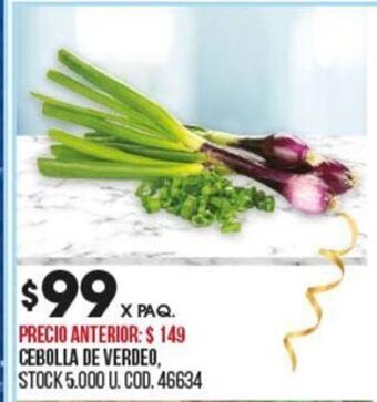 Coto Cebolla de Verdeo oferta