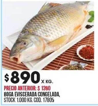 Coto Boga eviscerada congelada oferta