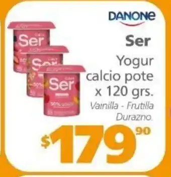 Actual Supermercados Danone Ser Yogur Calcio pote x 120 grs oferta