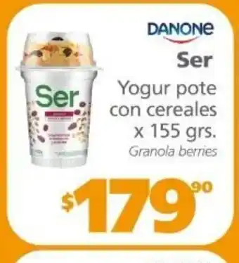 Danone Ser Yogur pote con cereales x 155 grs