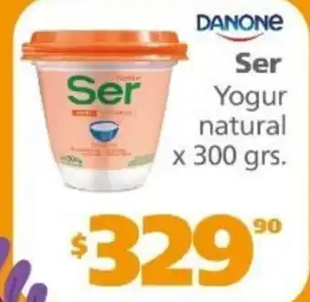 Actual Supermercados Danone Ser Yogur natural x 300 grs oferta