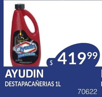 Masivos Ayudin Destapacañerias 1L oferta