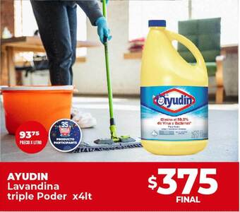 Supermayorista Vital Ayudin lavandina triple poder oferta