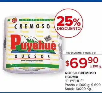 Carrefour Queso cremoso puyehué oferta