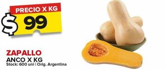 Carrefour Zapallo anco x kg oferta