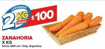 Carrefour Zanahoria x kg oferta